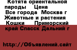 Котята ориентальной пароды  › Цена ­ 12 000 - Все города, Москва г. Животные и растения » Кошки   . Приморский край,Спасск-Дальний г.